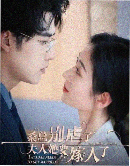 红楼梦 在线播放免费高清电视剧