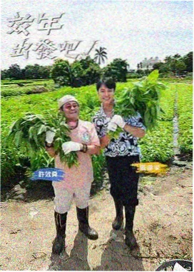 奔跑吧 综艺节目在线观看